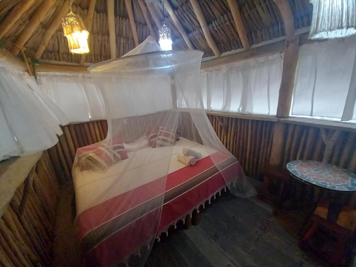 Ida Y Vuelta Hostal Isla Holbox